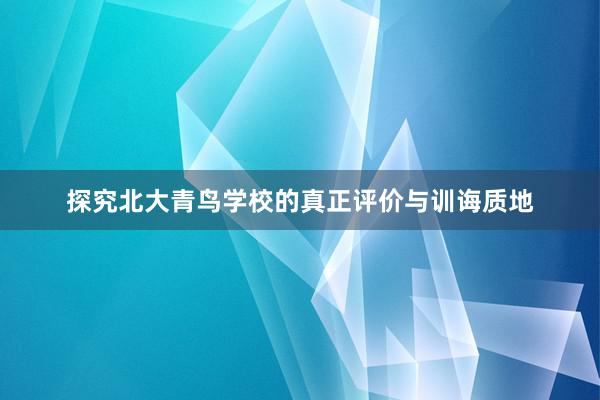 探究北大青鸟学校的真正评价与训诲质地
